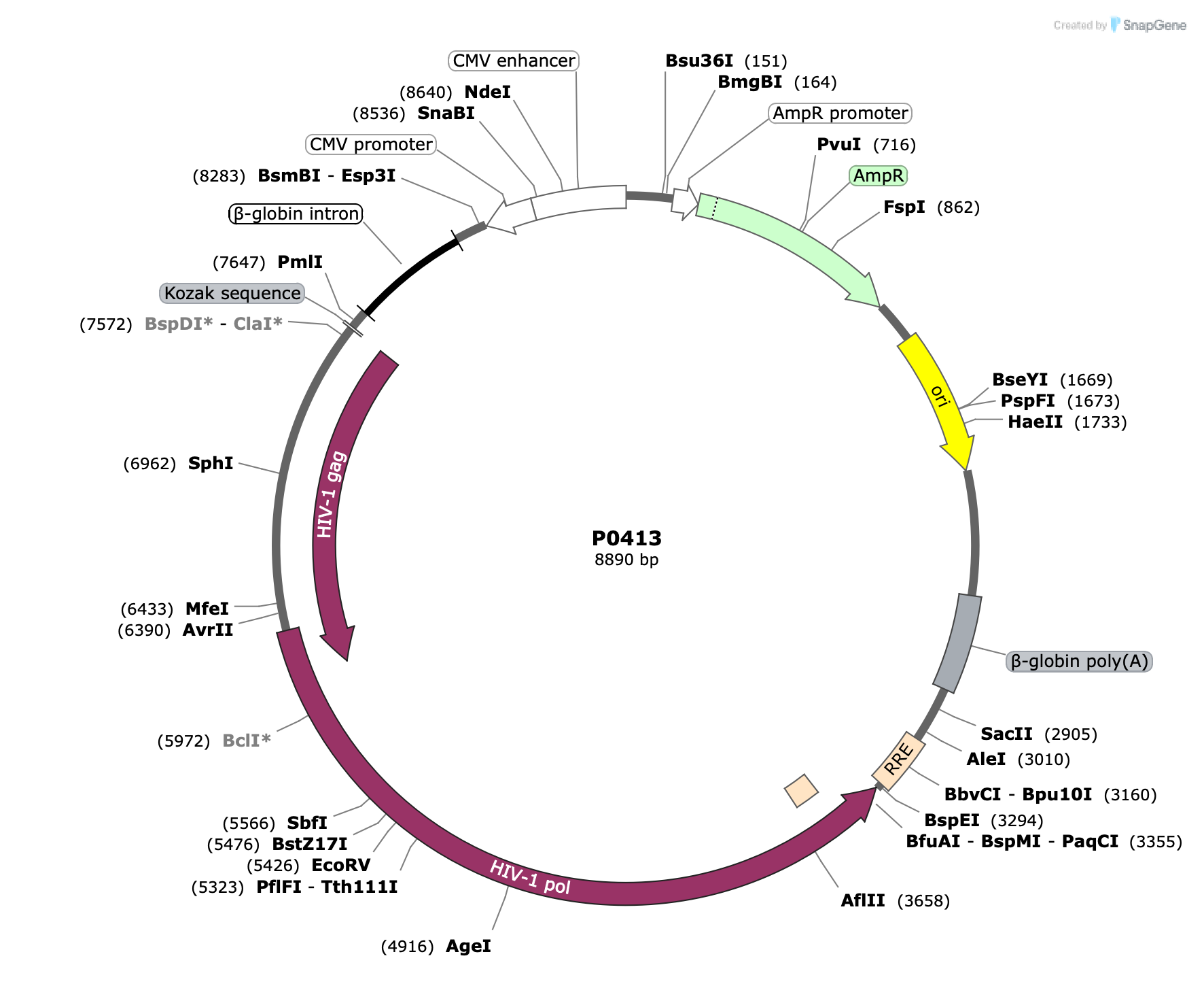 Plasmid map for P0413