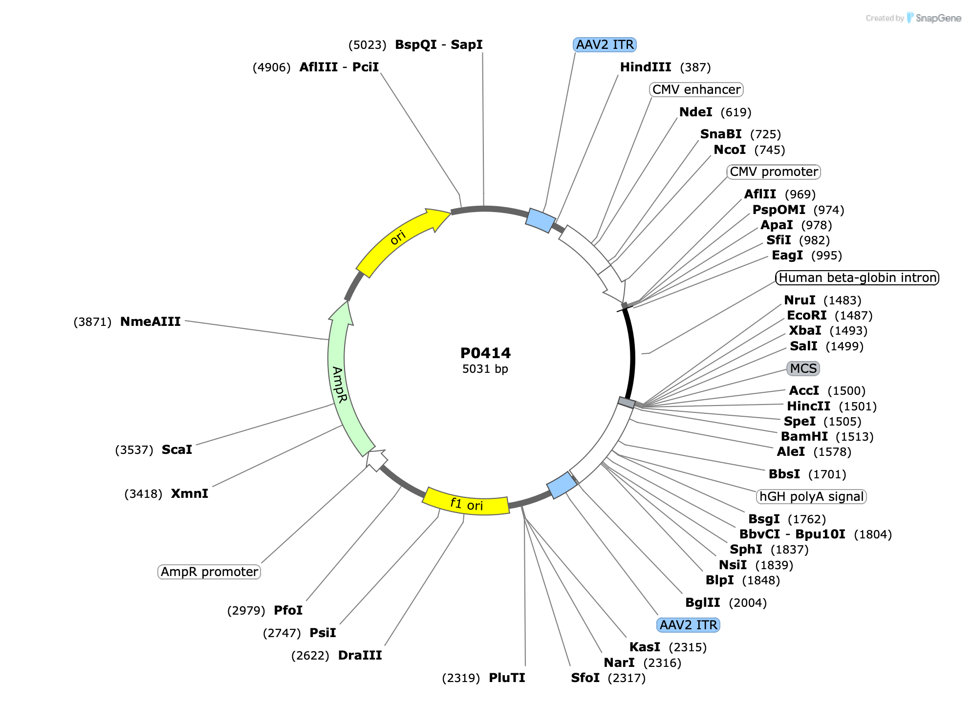 Plasmid map for P0414