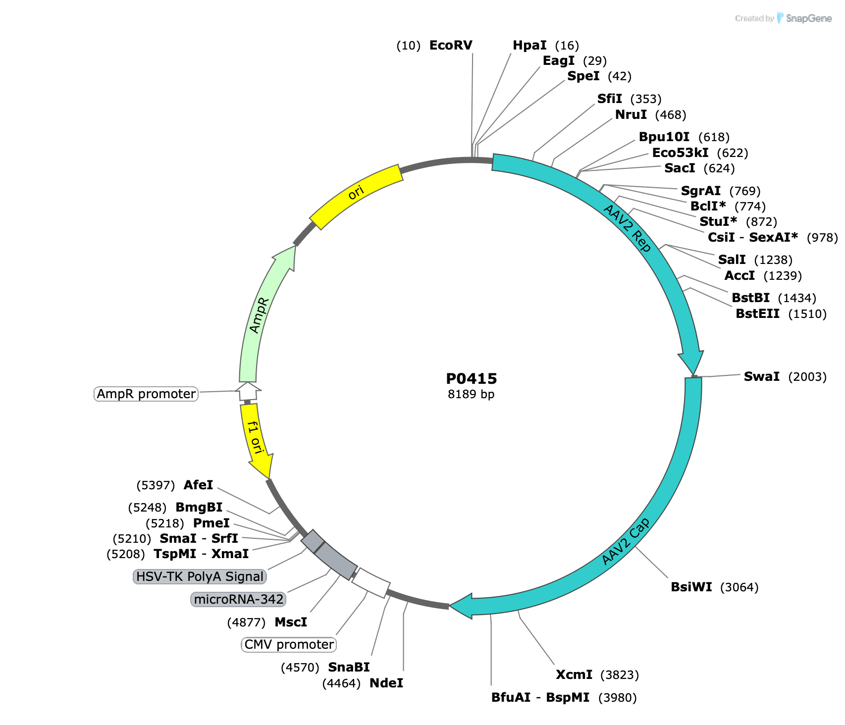 Plasmid map for P0415