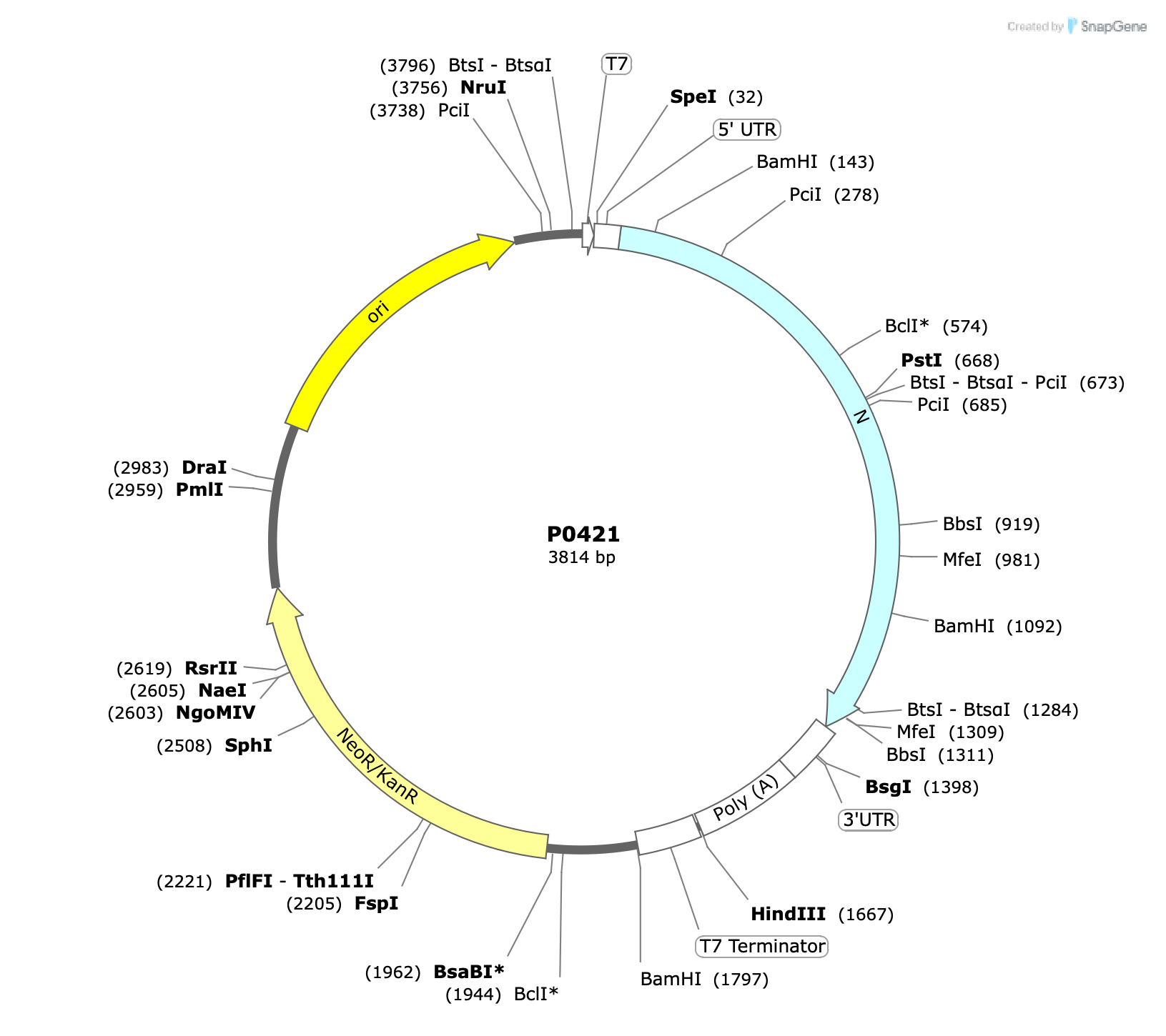 Plasmid map for P0421