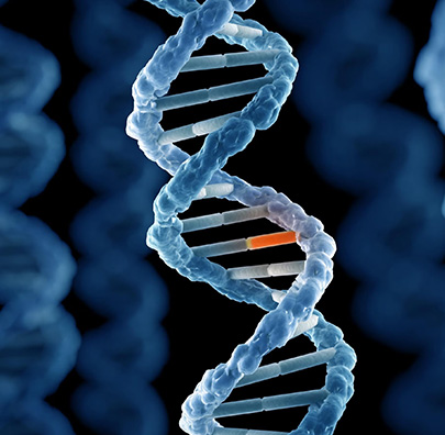DNA Cloning & Site-directed Mutagenesis